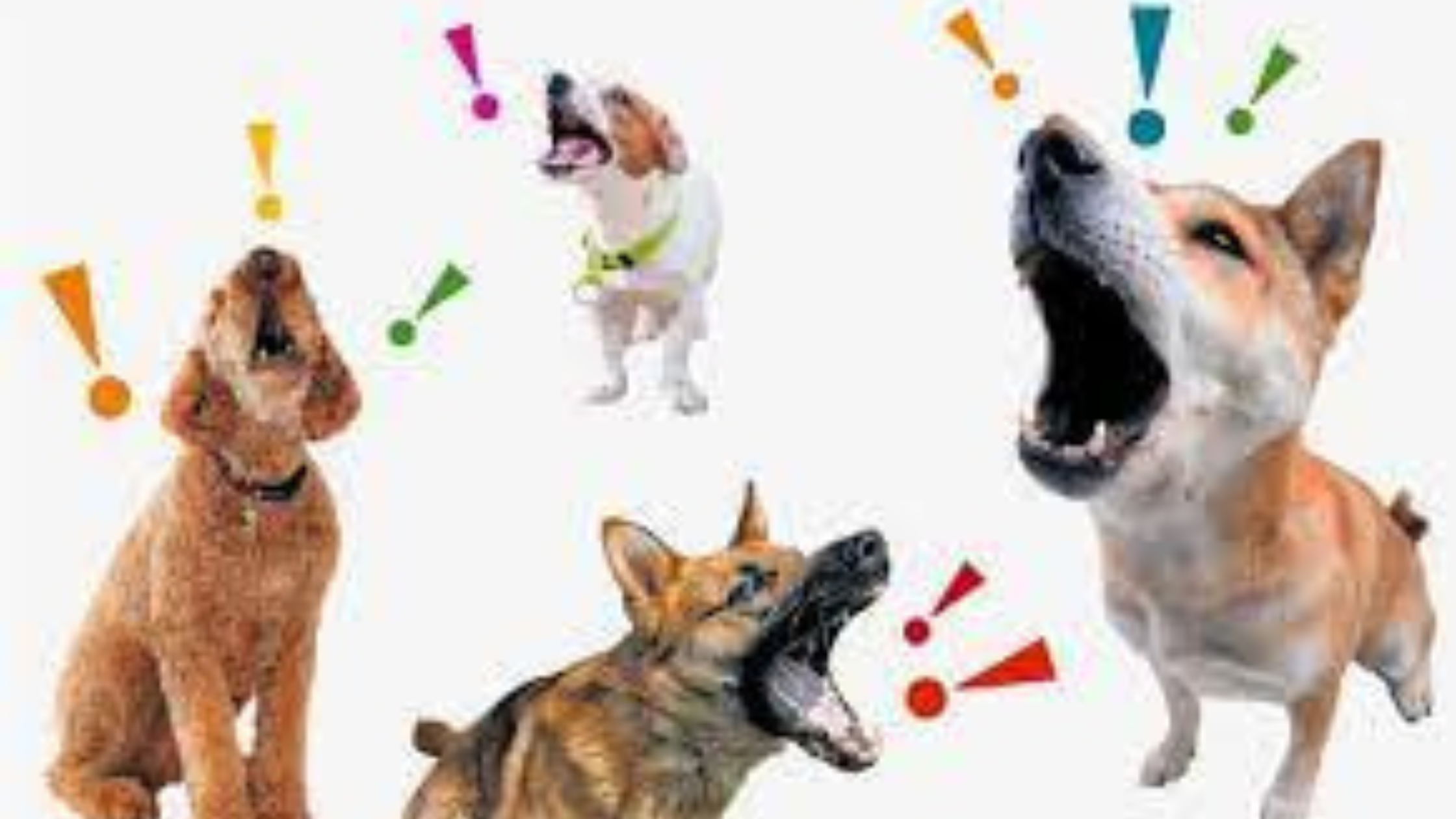 How To Stop Dogs Barking [ 2023 Update ]