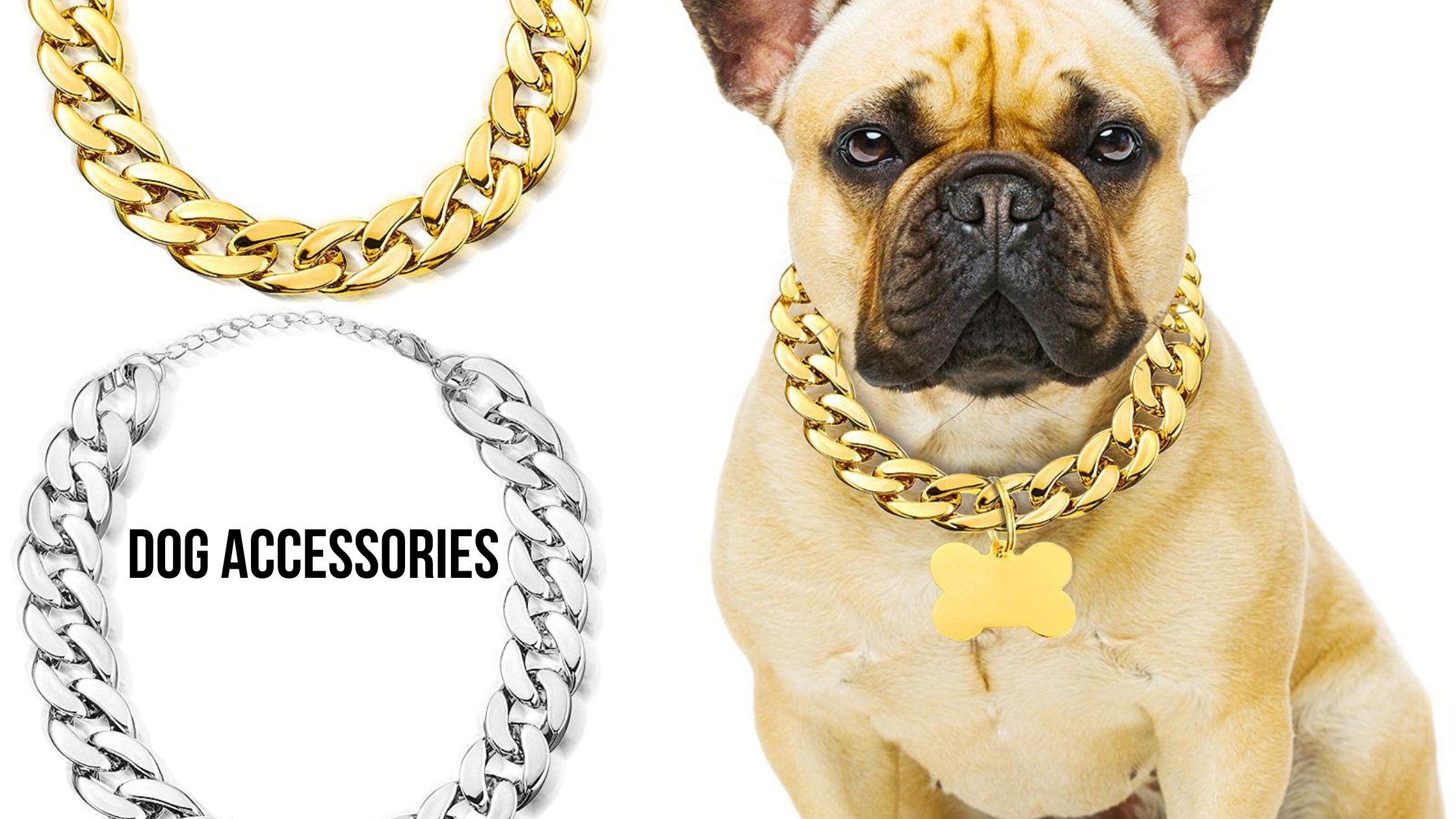 dog accessories