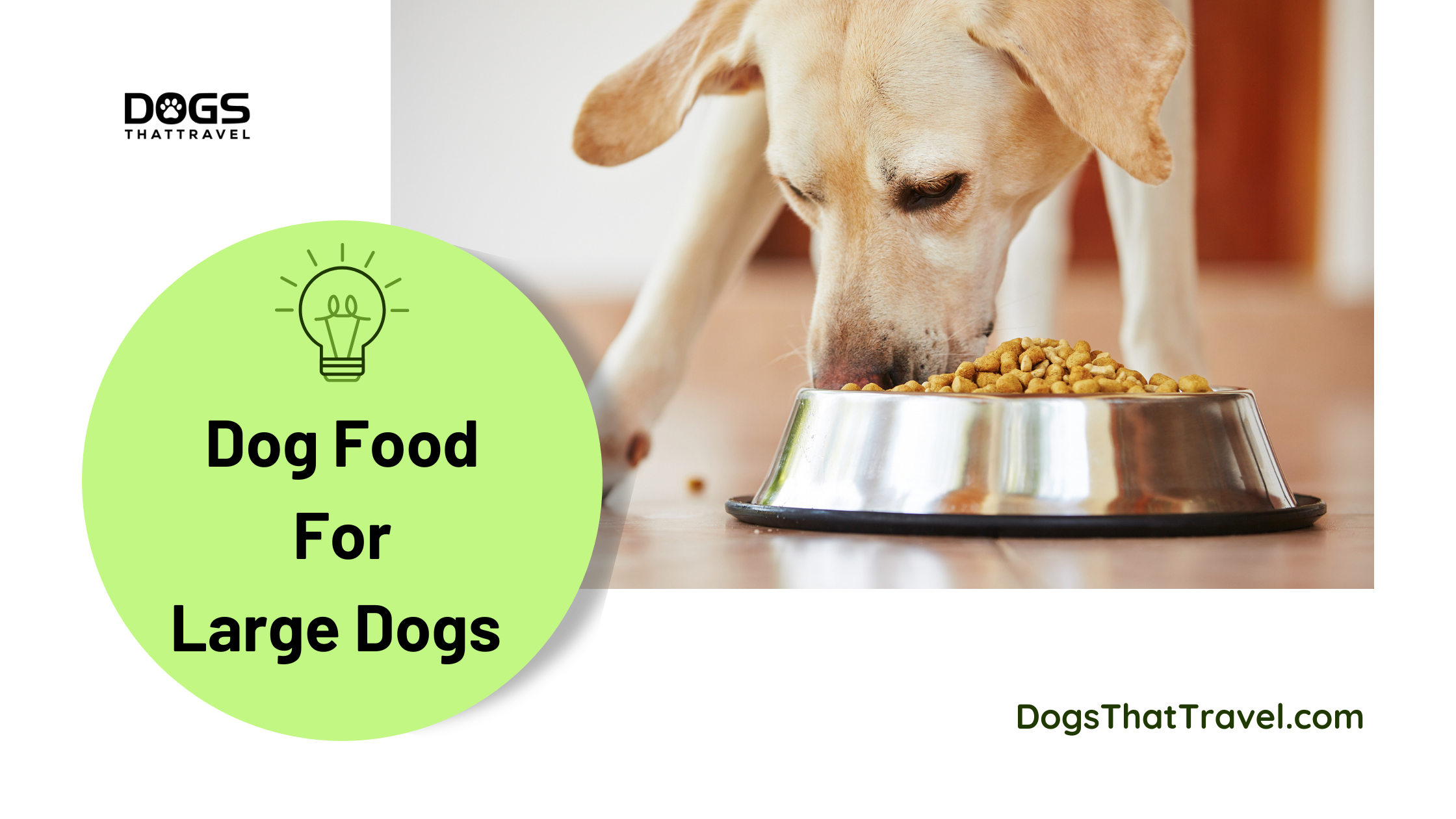 Dog Food For Large Dogs - DogsThatTravel.Com